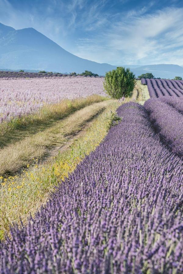 Gite Le Val Zen Valaurie - Drome Provencale Buitenkant foto